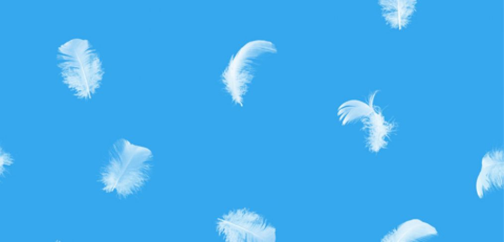 Piume bianche che scendono dal cielo come se fosse neve