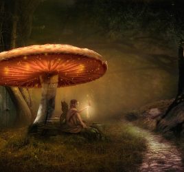 Foresta fatata con una fatina seduta sotto un fungo. Vuoi vivere momenti positivi? Creali.
